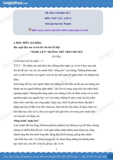Đề thi học kì 1 Văn 11 Chân trời sáng tạo - Đề số 7